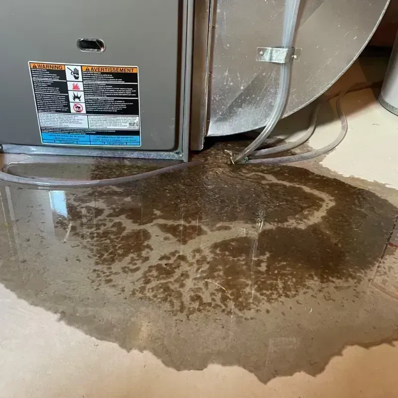 Appliance Leak Cleanup in Frisco, CO